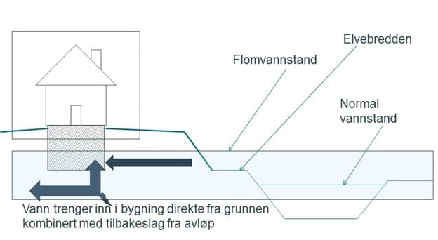 BildeNP1.jpg