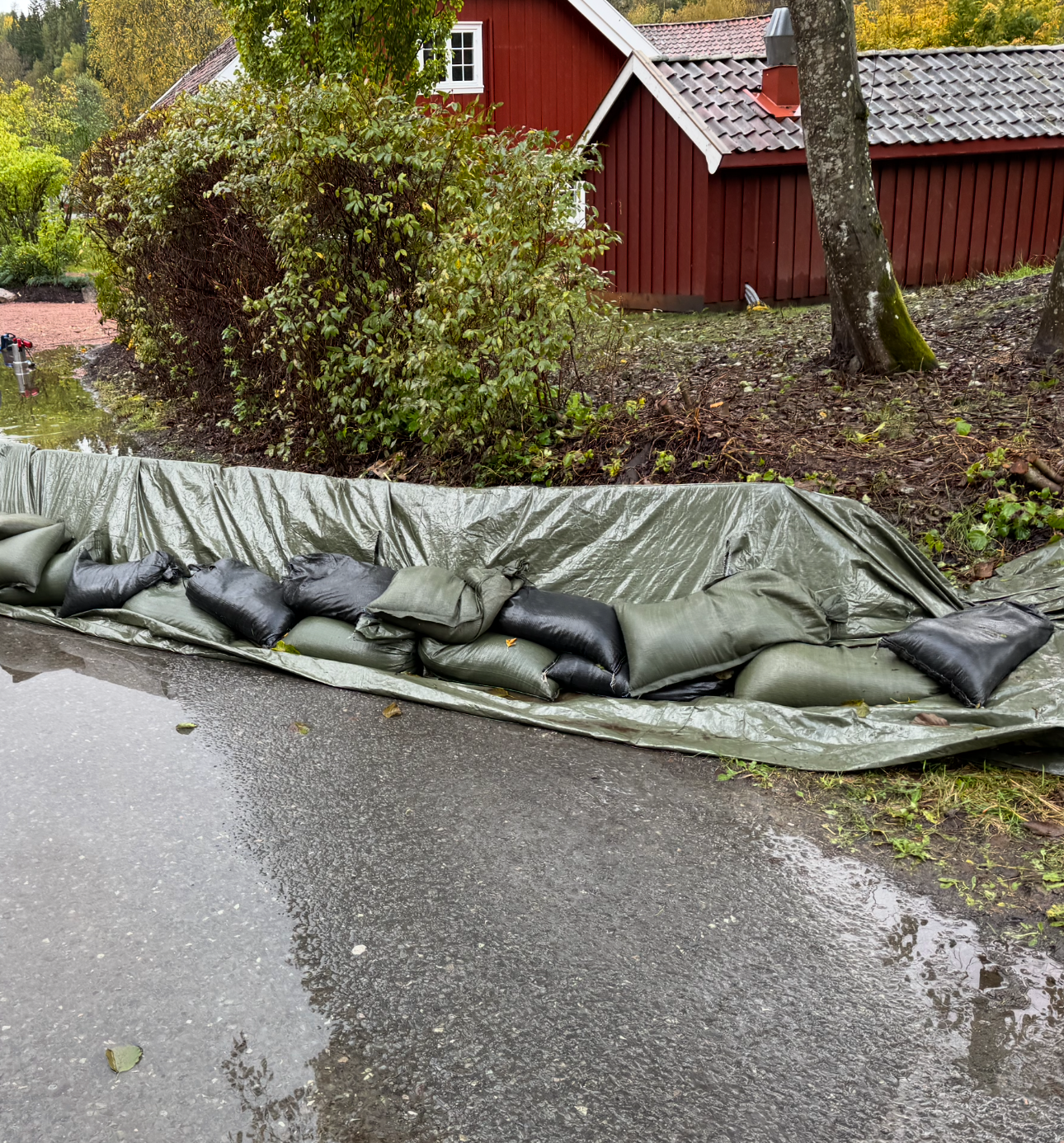 Flomvern i hage. Foto. 