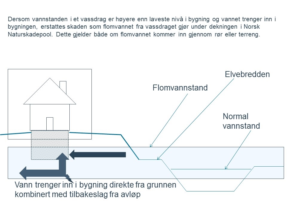 Flombegrepet.jpg