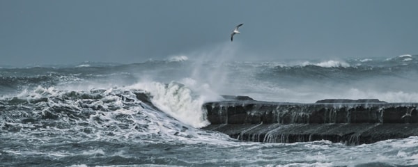 Stormflo.foto